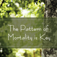 Trees Are Key 254 Pattern of Mortality is Key Trees Are Key 254 Pattern of Mortality is Key